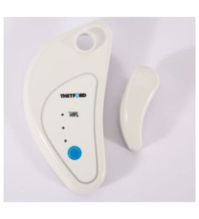 Bedienfeld C403L x C403 THETFORD 51812-62