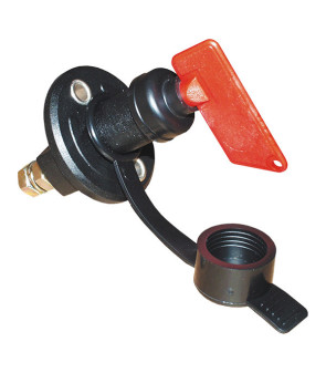 Coupe-batterie R290 CBE 100 A avec capuchon