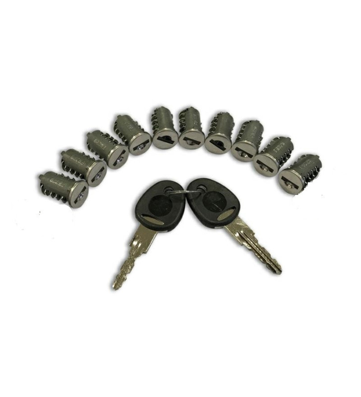 Kit 12 cylinders 2 keys New System FAP