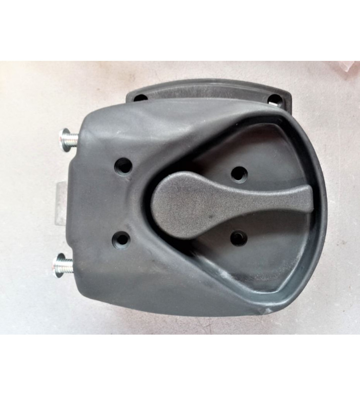 FAP 1059000855EPI Parte interna nera DX...