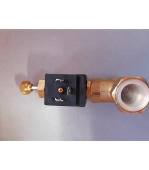 Electrovanne 12Vdc + relais pour détecteurs gaz MCR