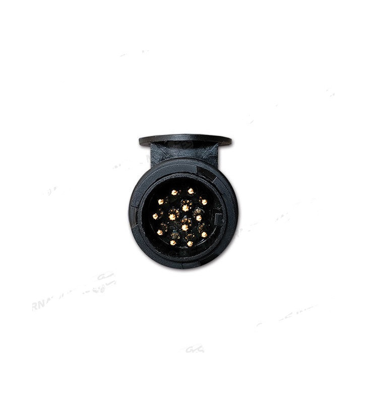 13-pin abs plug