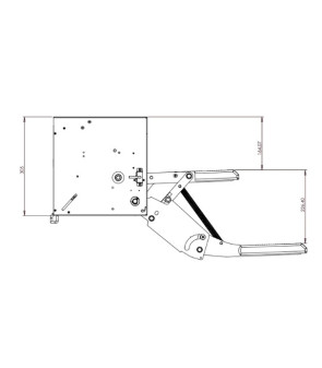 PASO ELECTRÓNICO 530 LIPPERT DERECHO 10574 ZA DESAPARECIDO