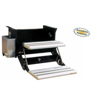 PASO ELECTRÓNICO 650 LIPPERT DERECHO 10574 ZA DESAPARECIDO