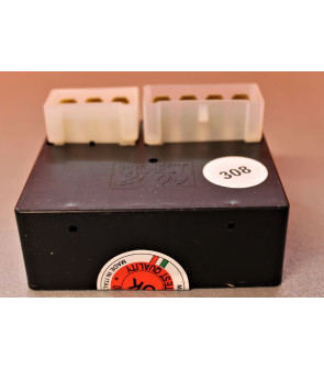 12542 - 2020330815 CENTRALINA ELETTRONICA MULTIFUNZIONE