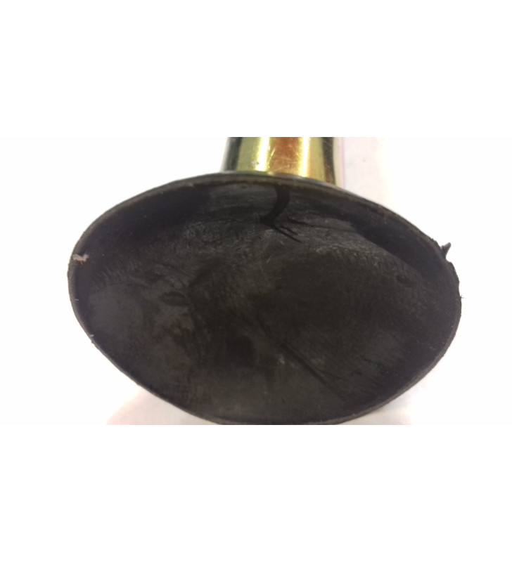 EASY PRIVACY from 2.61 to 2.8 m lateral awning