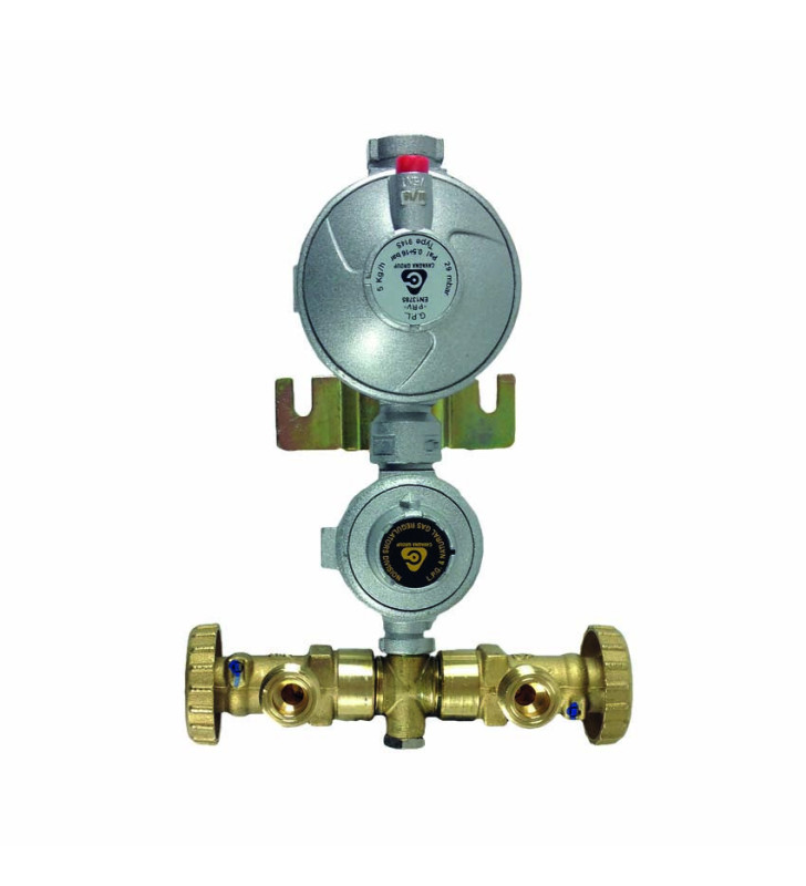 KIT DE MINI GROUPE D'ALIMENTATION GPL À DOUBLE...