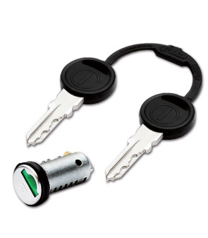 Kit 1 cylinder 2 keys Zadi A.S. 4501 to 4520 or FPXXX