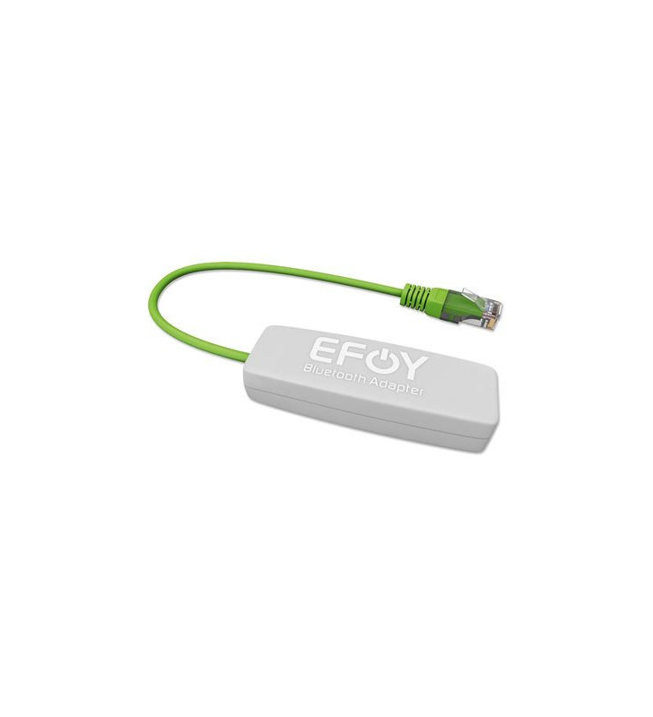 Adattatore Bluetooth Efoy App e smartphone