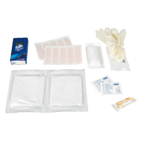 Basic First Aid Kit in case