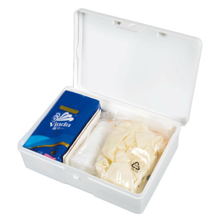 Basis-Erste-Hilfe-Kit für den Fall