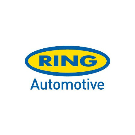 Compresseur d'air analogique 12V RING