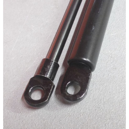 Coppia di pistoni a gas 200N per letto basculante 550/230 mm