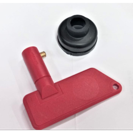 Standard-Ersatzschlüssel für 100-A-Batterieschalter