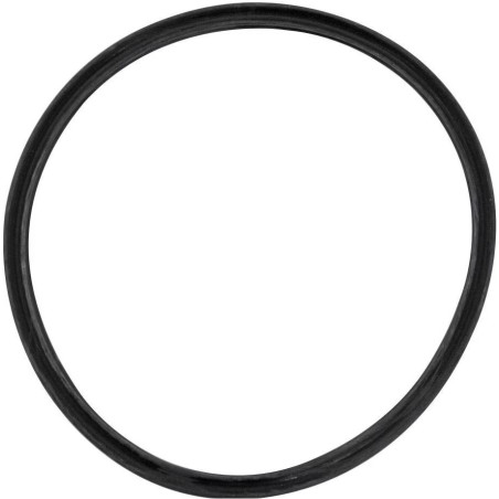 Bague d'étanchéité noire DOMETIC CT série 3 réservoir de toilette