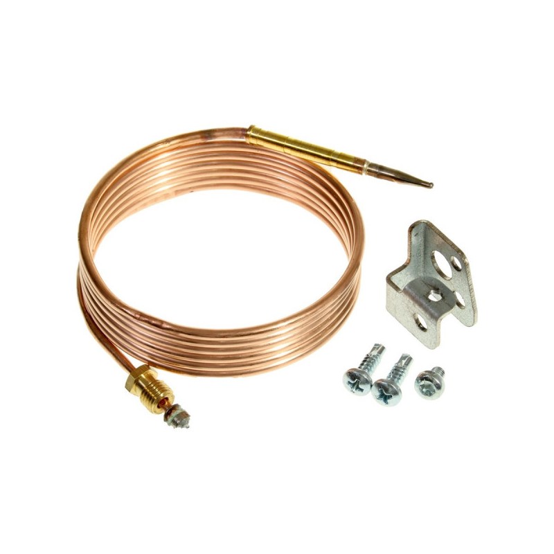 Thermocouple réfrigérateur THETFORD de 2006 - V2