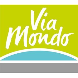 Tapis de véranda gris économique VIAMONDO 2
