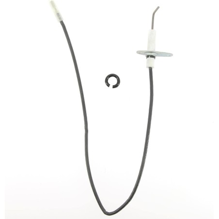 ÉLECTRODE THETFORD 690840 x N3145 / 3150/3170/3175