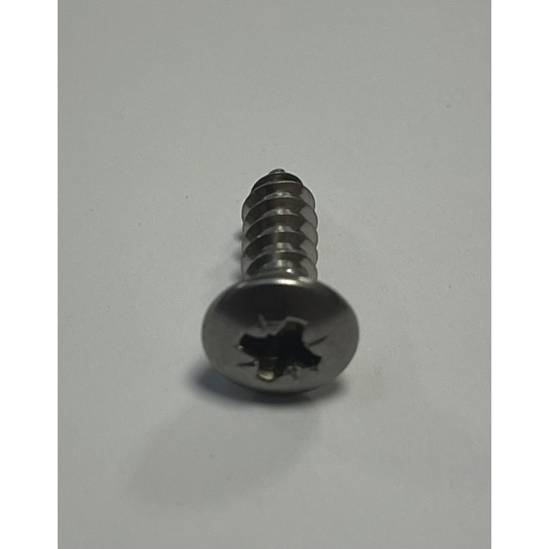 Vite INOX per Bruciatore 4,8x16 Mm Piani...