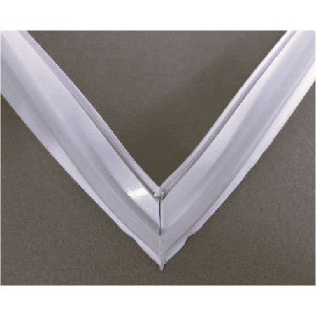 Guarnizione Cassetta per C400 Thetford - 32311