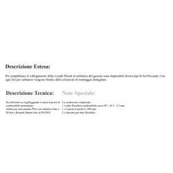 Set pescante gasolio COMBI D 09 2