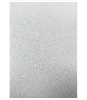 CONTREPLAQUÉ MÉLAMINE SUR UNE FACE - BLANC BRUT - TRIGANO 2,2mx1,22mx3 mm