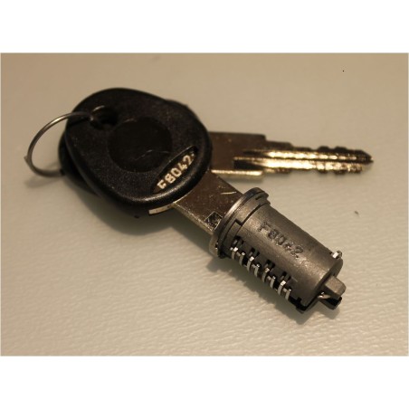 Kit 12 cylinders 2 keys New System FAP