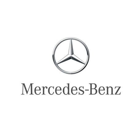 Schwenkfuß CTA Mercedes Sprinter und VW Crafter ab 2005 bis heute universell rechts/links