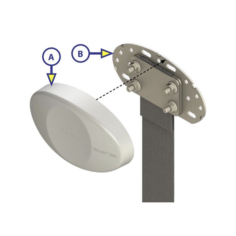 Piastra fissaggio cintura