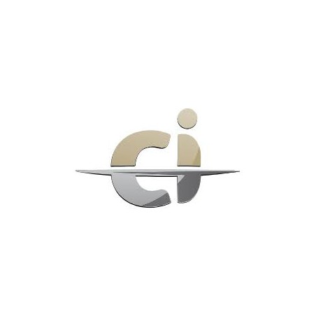 Motore 12V per chiusura centralizzata porta 2P - TRIGANO