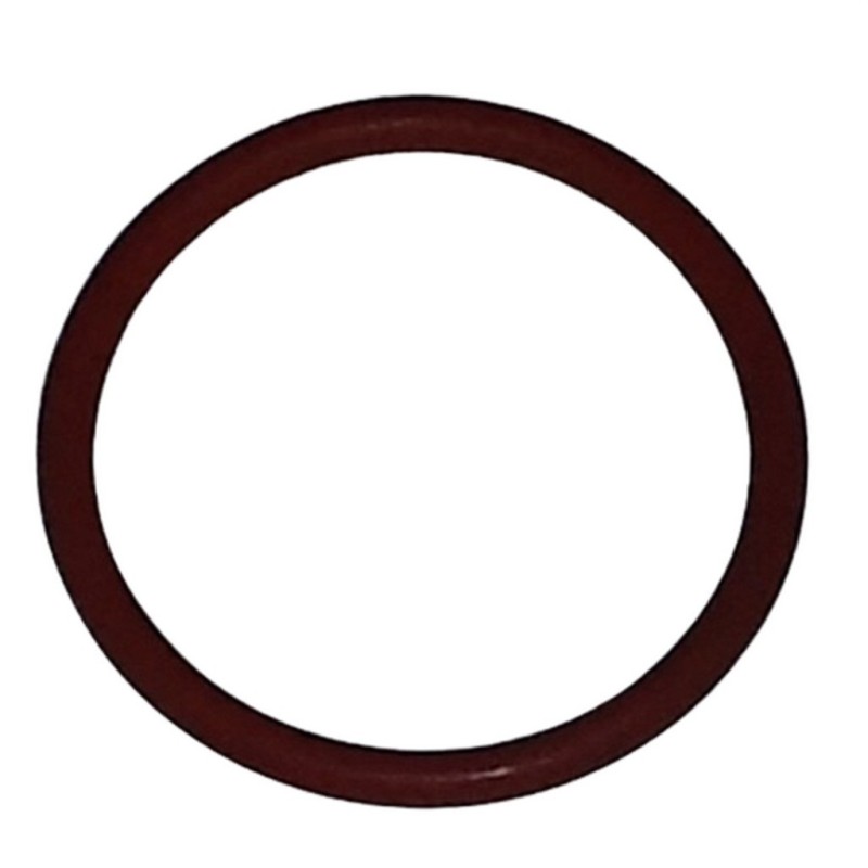 O-Ring 22x2 mm for E24 chimney nautical boiler...