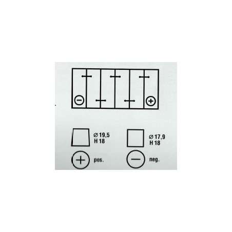 BATERIA VARTA AGM 95AH NEGRA 353X175X190 - 21.0001.000