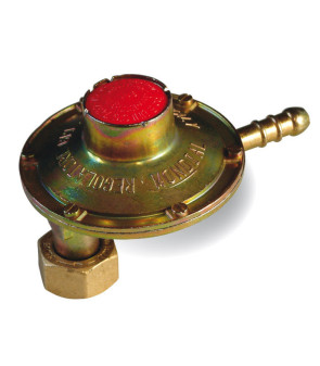 Détendeur GPL 1 Kg/h vertical W20x14SX goudron / fixe 30 mbar