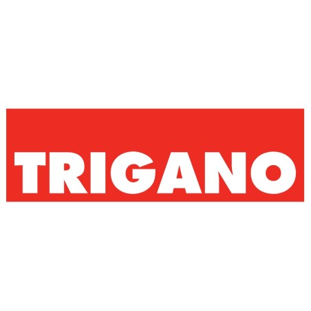 UNITÉ DE CONTRÔLE POUR LIT LIPPERT 12600 TRIGANO SANS STANDARD (080-30040-00)