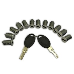 Kit 12 cylindres 2 clés HSC FAP