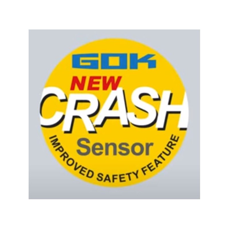 GOK Caramatic SafeDrive PLUS 30MBAR 1,5KG/H -...