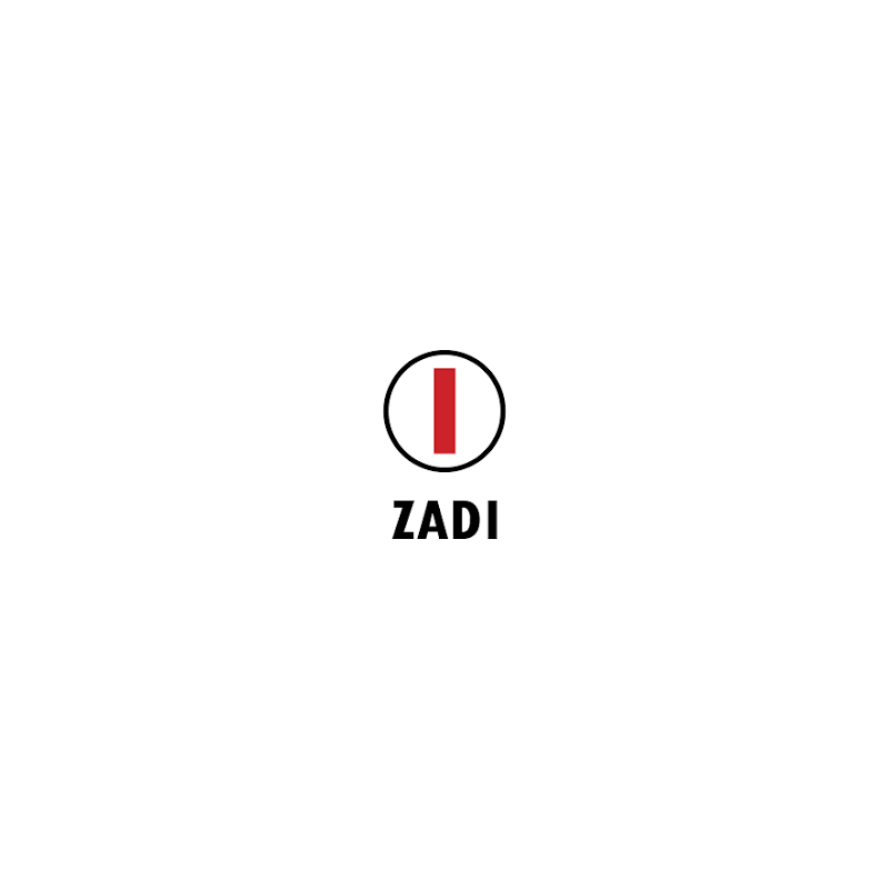 ZADI - Komplettes Ventil 3 Zoll Außenflansch
