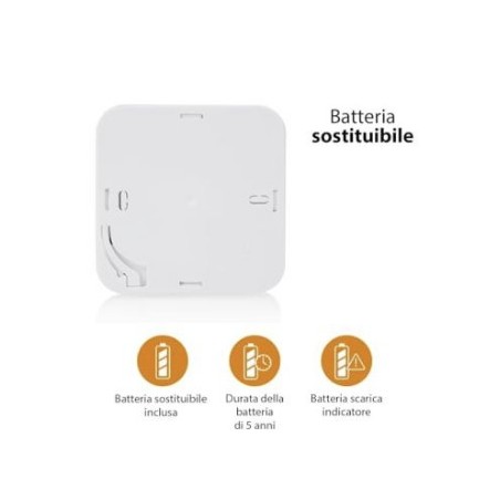 Rilevatore gas domestico Monossido di Carbonio Alimentazione a batteria AA con WIFI