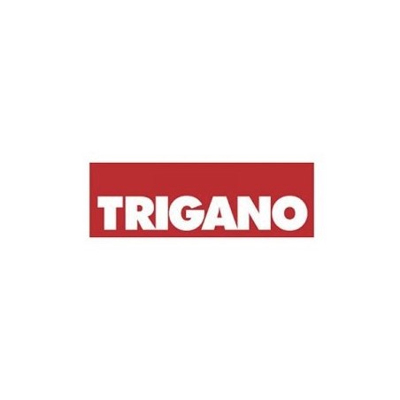TRIGANO 1551.276.01 PANEL NE276 GLASS 240X128