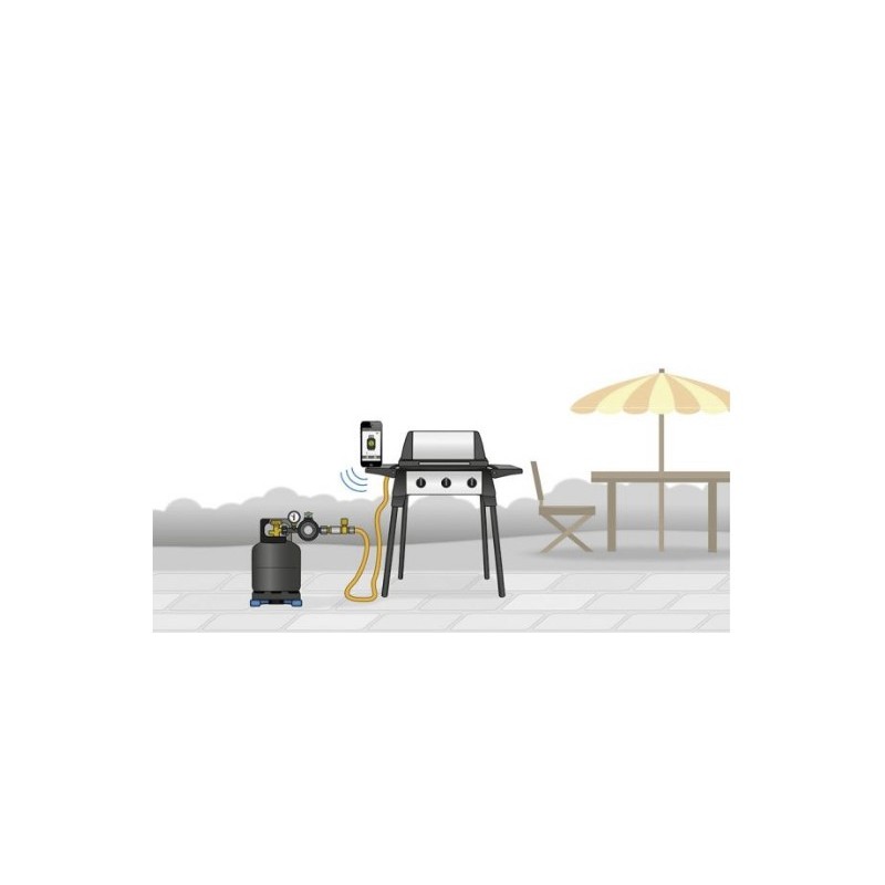 Régulateur barbecue basse pression GOK 30 mBar...