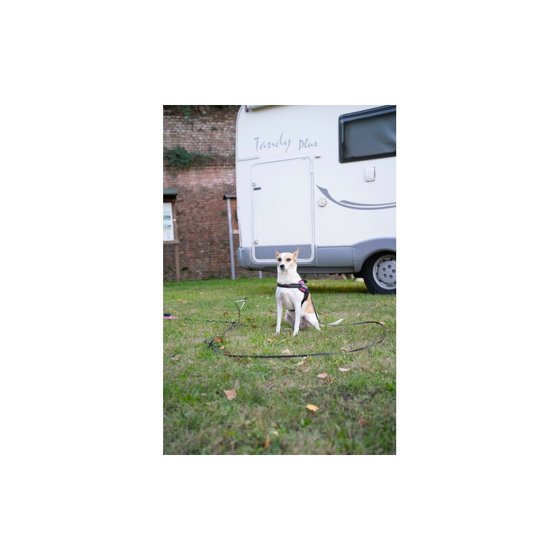 LAMPA Spike for your dog's leash