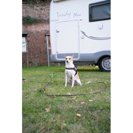 LAMPA Picchetto per guinzaglio del vostro cane