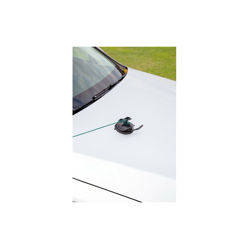 LAMPA Suction cup with hook for anchoring - Ø...