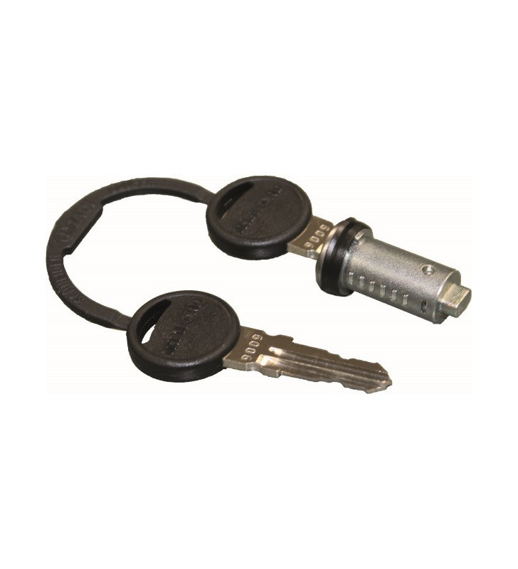 Cylinder and 2 keys ZADI SERVICE DOOR THETFORD...