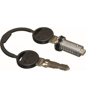 Cilindro y 2 llaves PUERTA DE SERVICIO ZADI THETFORD 26604